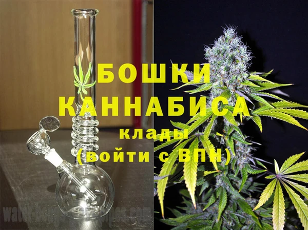 метадон Алексин