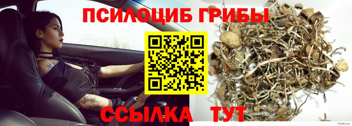 ТГК Всеволожск