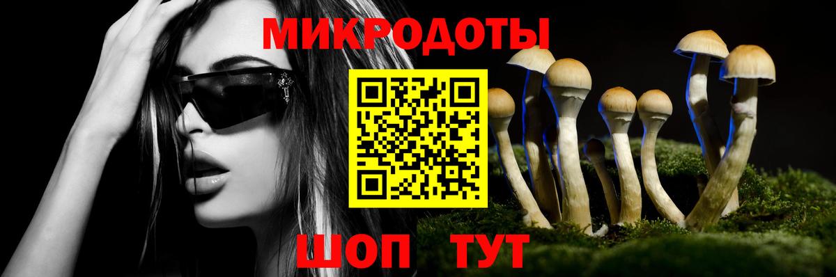 Псилоцибиновые грибы мицелий Всеволожск